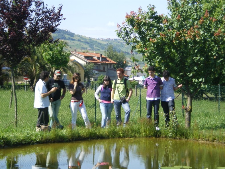 Bisogno di aiuto in Provincia di Ascoli