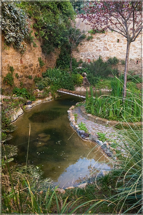 Il Laghetto del Centro di Entomologia - Piombino (LI)