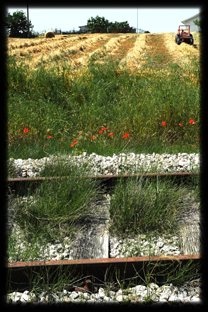 Passeggiata sulla Ferrovia Sangritana... Abruzzo-Italia