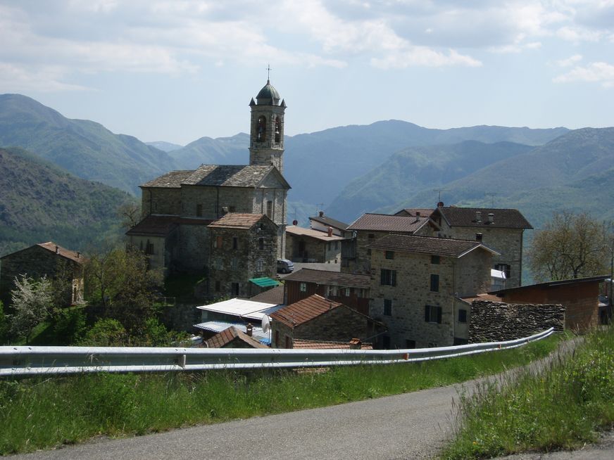 Appennino pavese: Vipera aspis