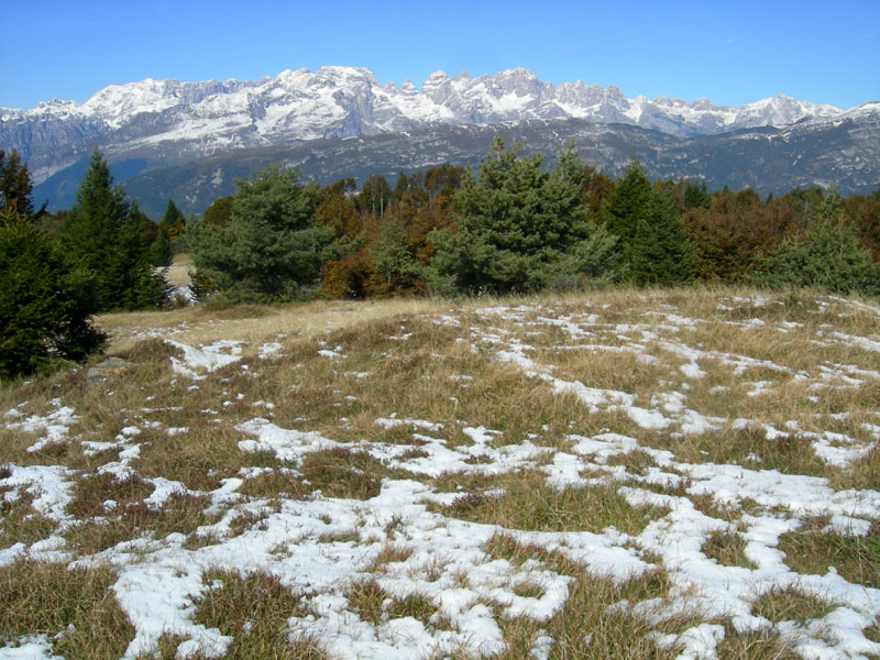 Cima Tosa m.3173.........Dolomiti di Brenta