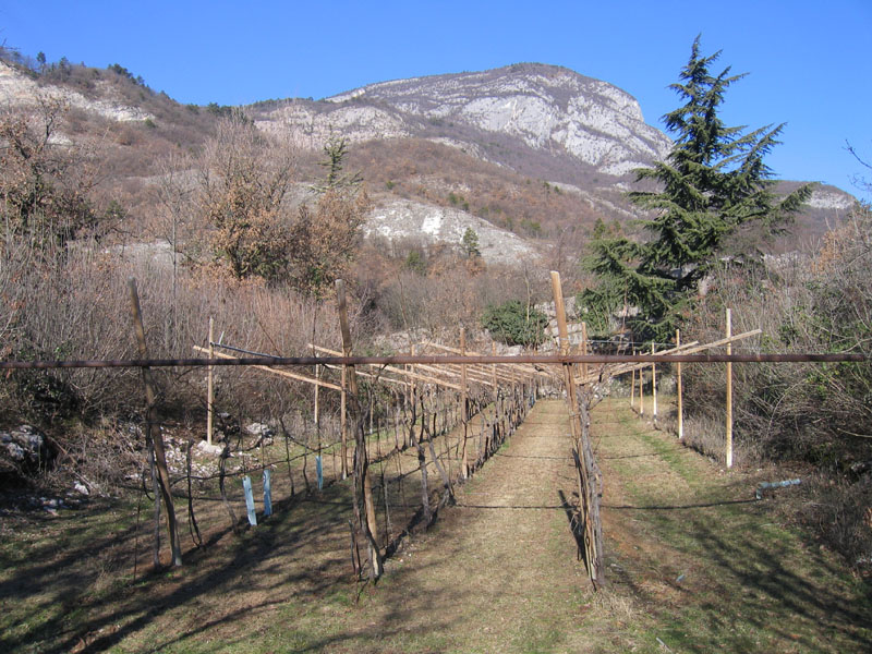 passeggiata.....sopra Nomi