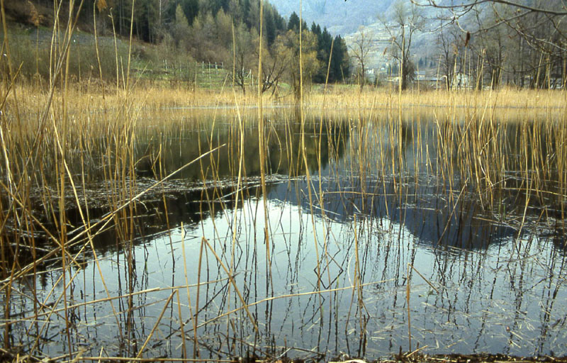 Laghi.......del TRENTINO