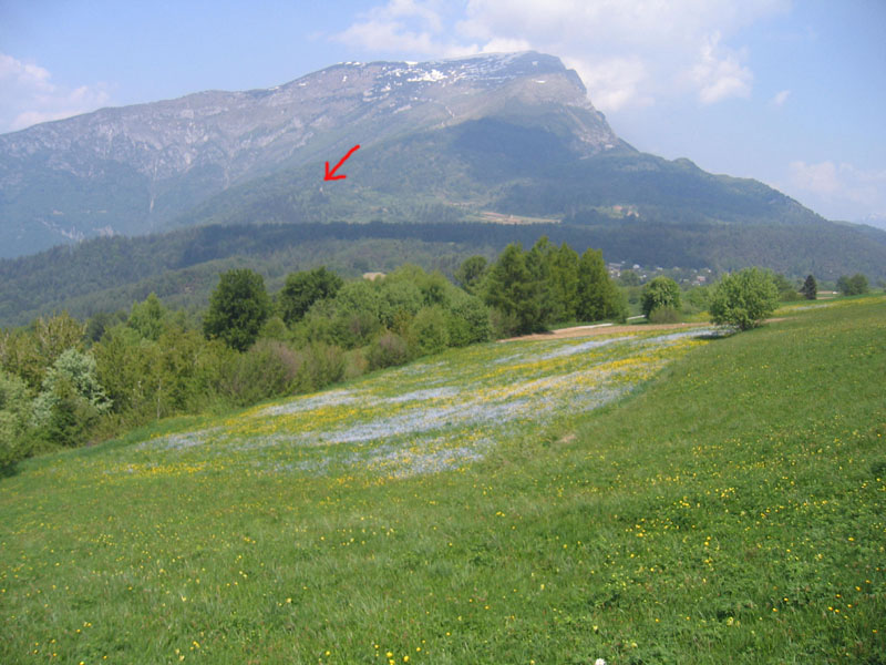 Castelli,Torri e Palazzi.....del Trentino