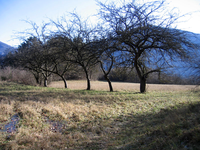 passeggiata.....sopra Nomi