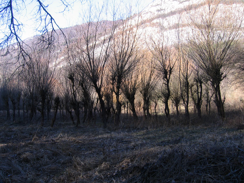 passeggiata.....sopra Nomi