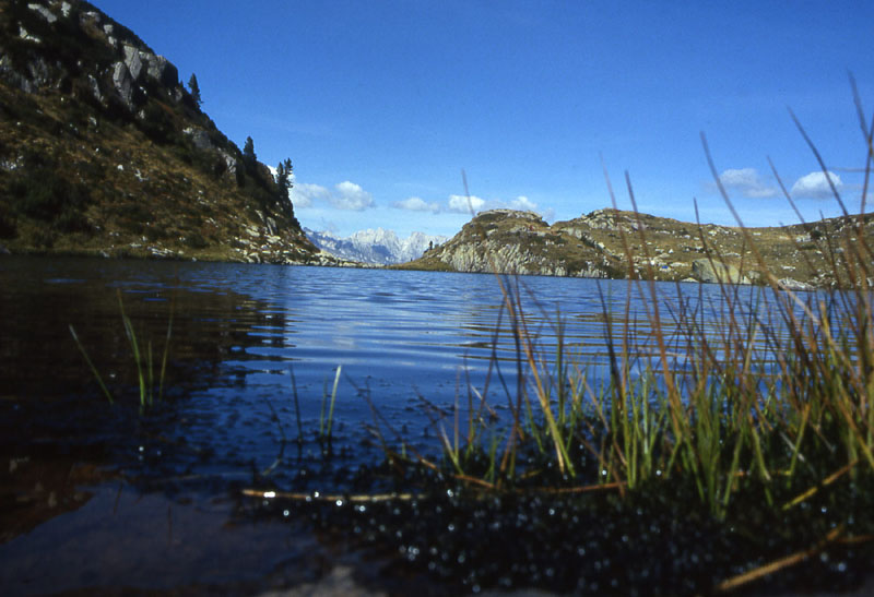 Laghi.......del TRENTINO