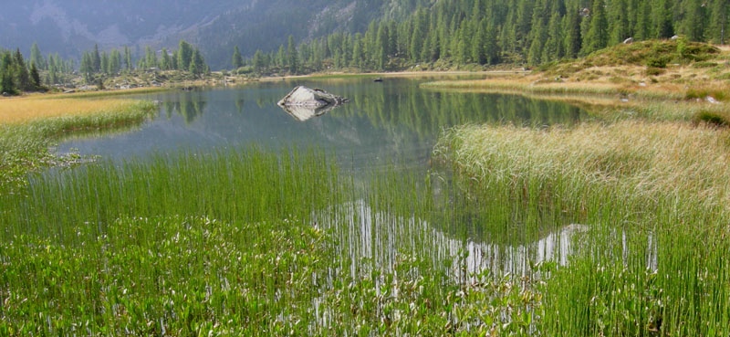 Laghi.......del TRENTINO