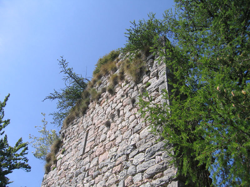 Castelli,Torri e Palazzi.....del Trentino