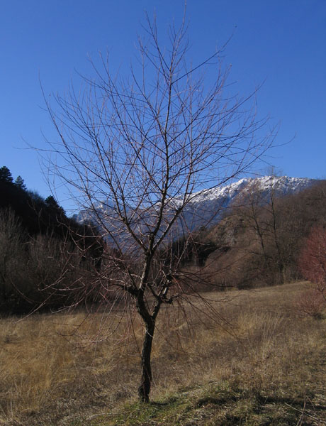 passeggiata.....sopra Nomi