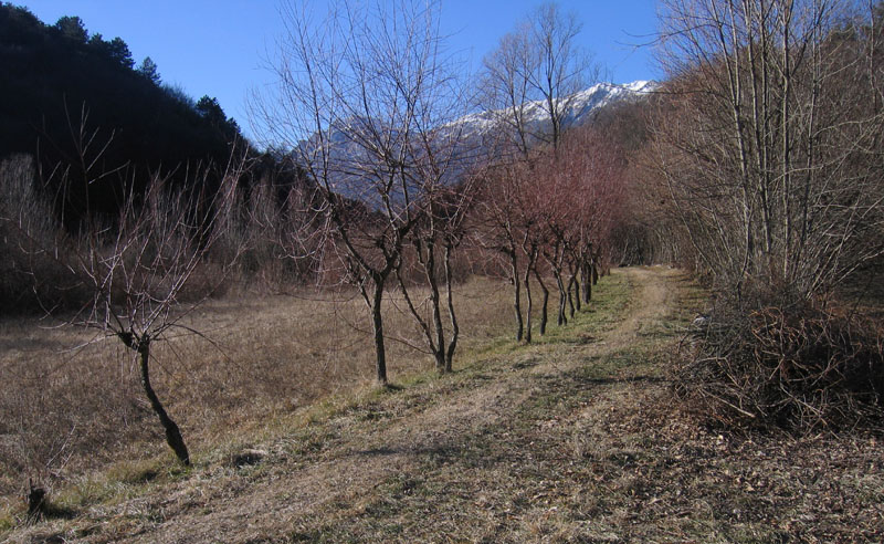 passeggiata.....sopra Nomi