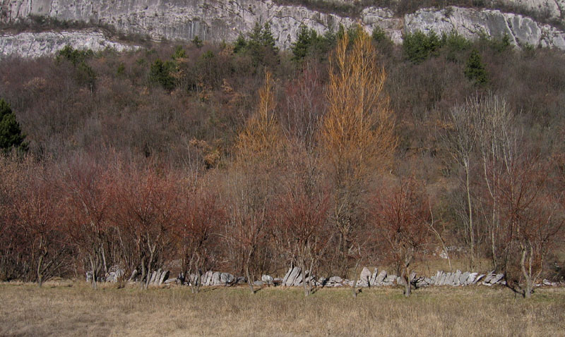 passeggiata.....sopra Nomi