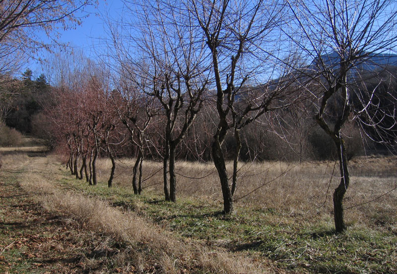 passeggiata.....sopra Nomi