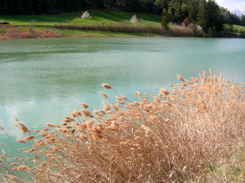 Laghi.......del TRENTINO