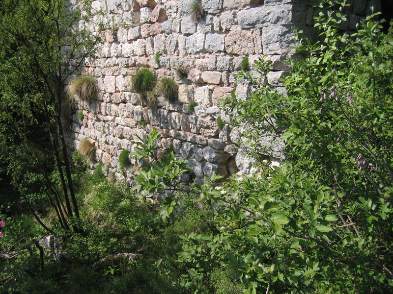 Castelli,Torri e Palazzi.....del Trentino