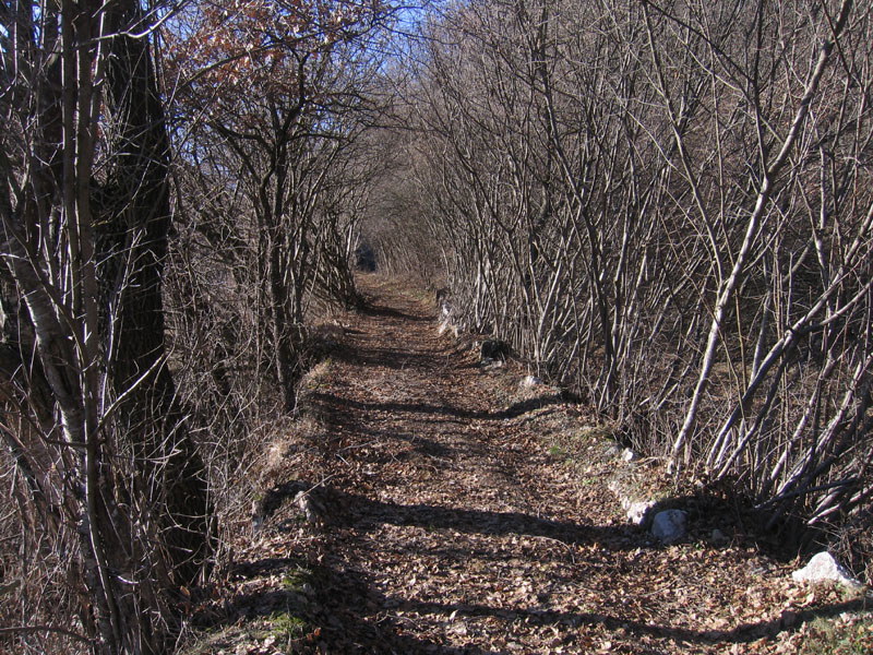 passeggiata.....sopra Nomi