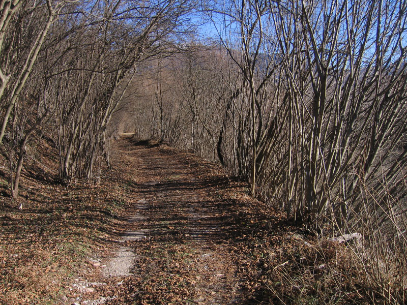 passeggiata.....sopra Nomi