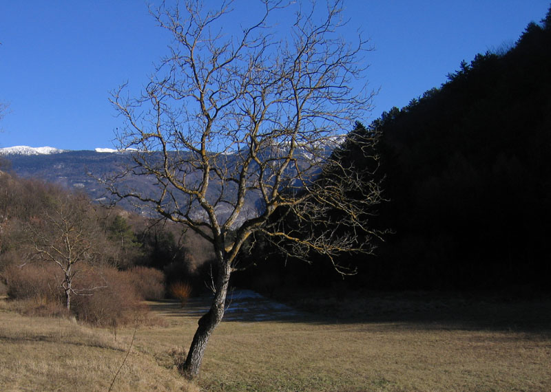 passeggiata.....sopra Nomi