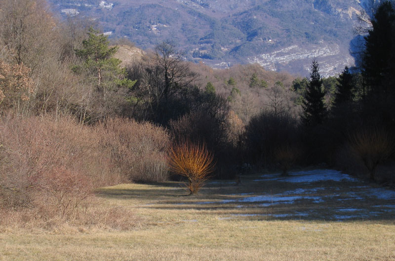 passeggiata.....sopra Nomi