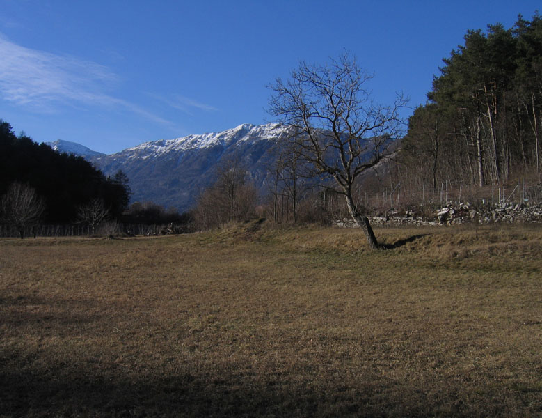 passeggiata.....sopra Nomi