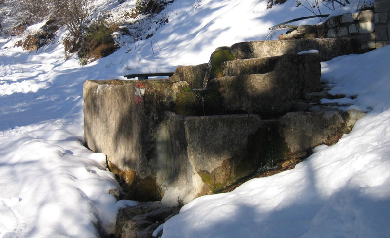 escursione sul Monte Brento....