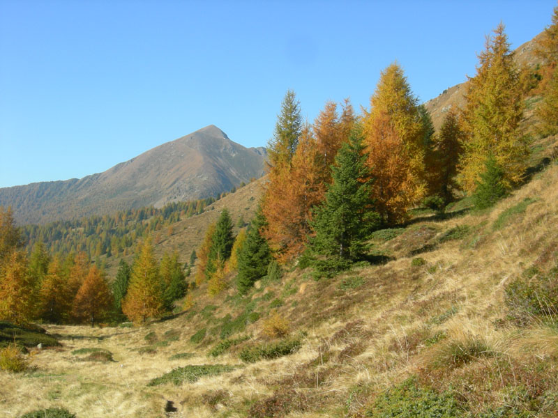 Sette Laghi....escursione del 12/10/2008