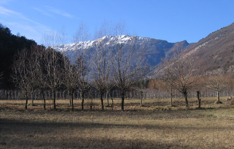 passeggiata.....sopra Nomi