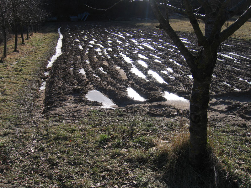 passeggiata.....sopra Nomi