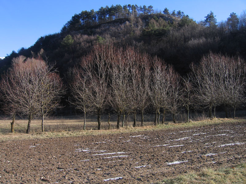 passeggiata.....sopra Nomi