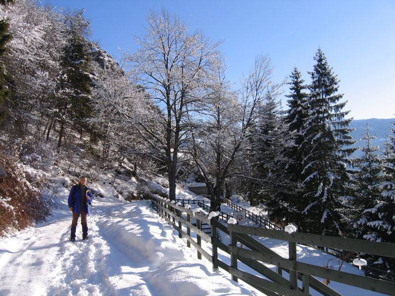 escursione sul Monte Brento....