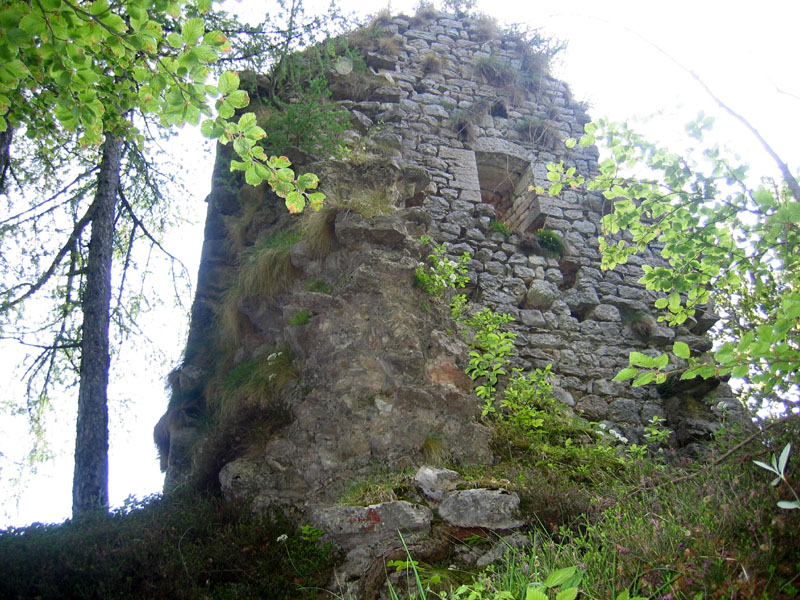 Castelli,Torri e Palazzi.....del Trentino