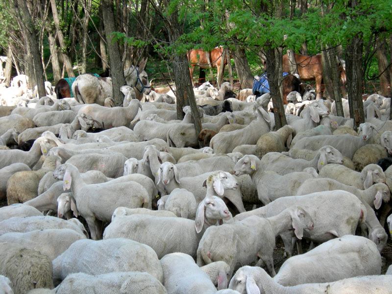 una giornata diversa dal solito....