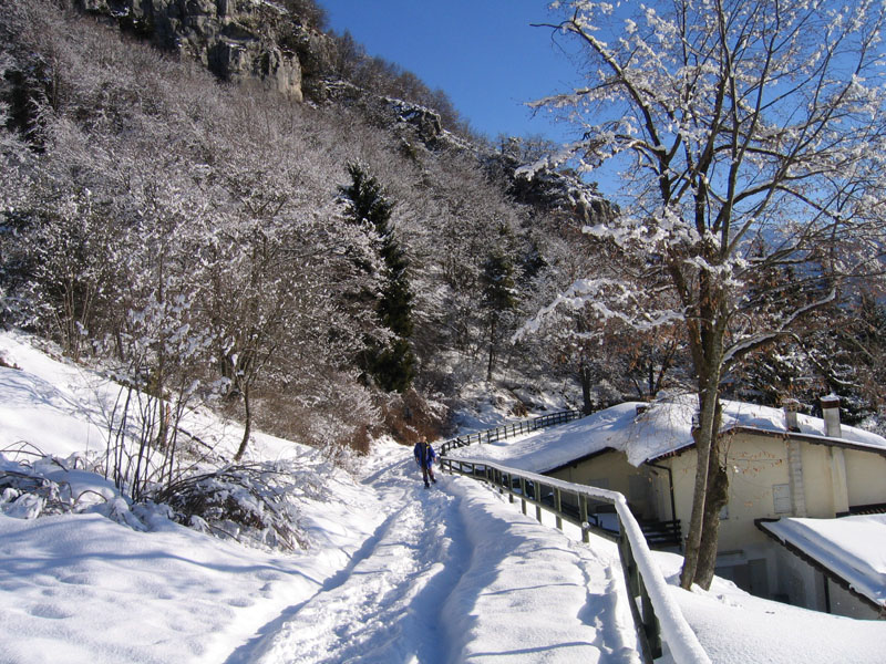 escursione sul Monte Brento....