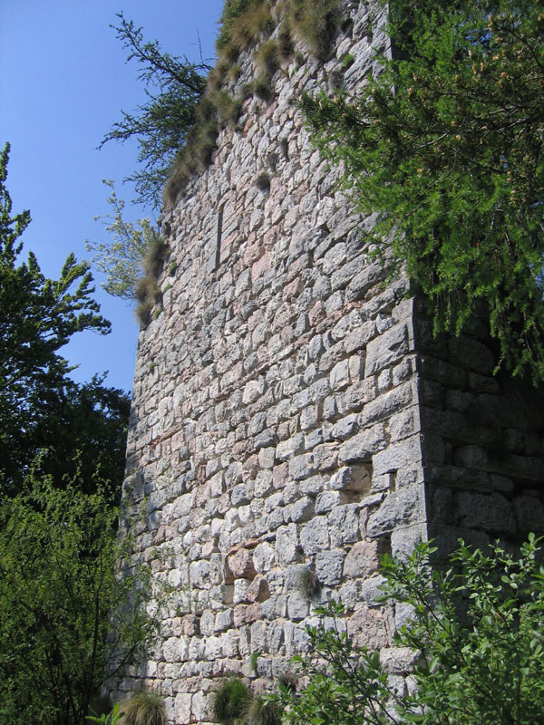 Castelli,Torri e Palazzi.....del Trentino