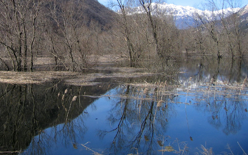 Laghi.......del TRENTINO