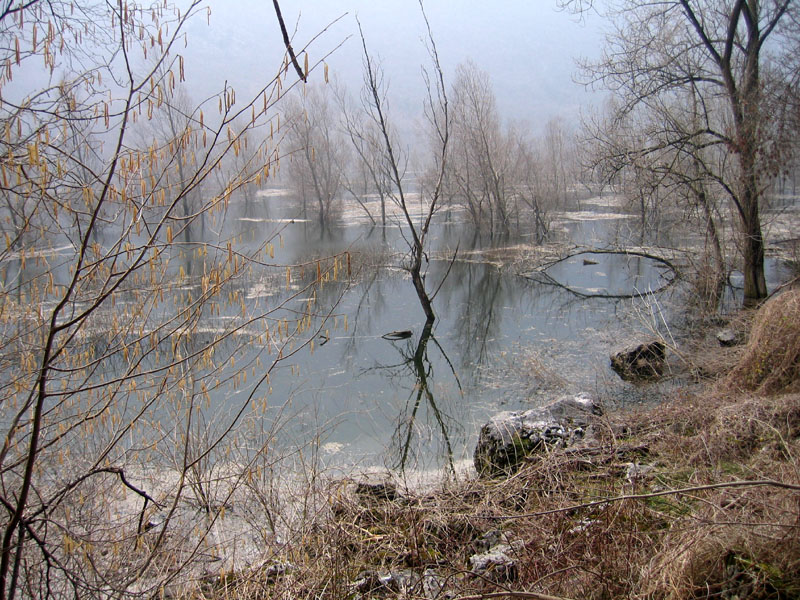 Laghi.......del TRENTINO