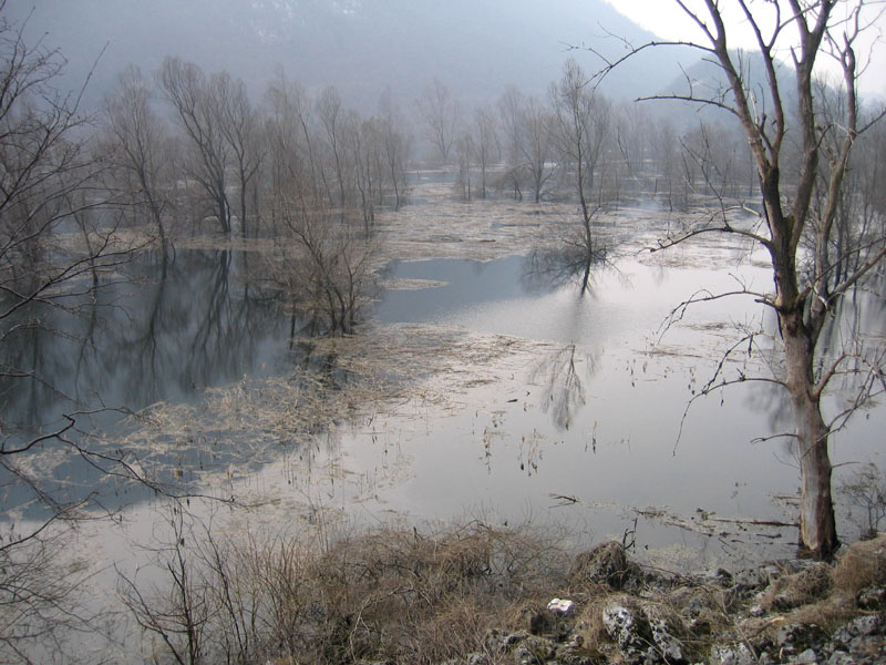 Laghi.......del TRENTINO