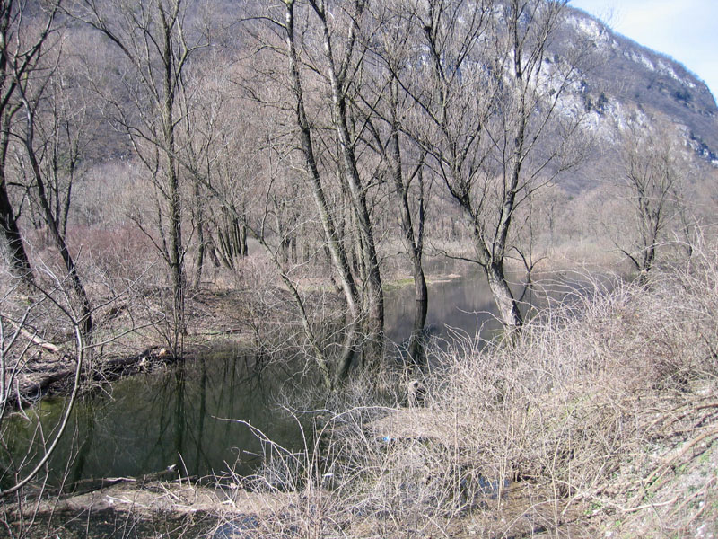 Laghi.......del TRENTINO