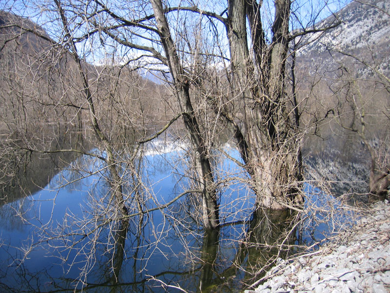 Laghi.......del TRENTINO