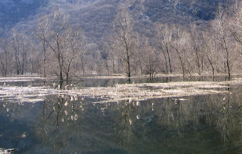 Laghi.......del TRENTINO