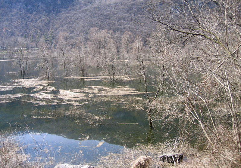 Laghi.......del TRENTINO