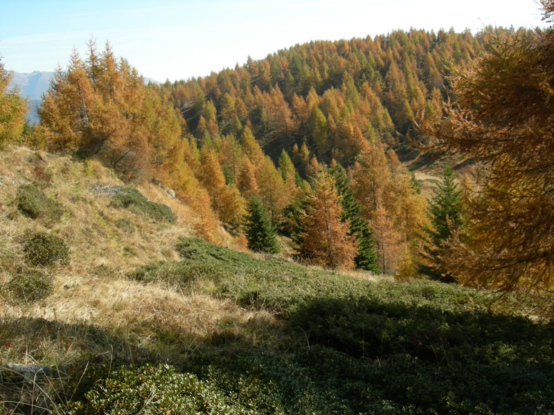 Sette Laghi....escursione del 12/10/2008