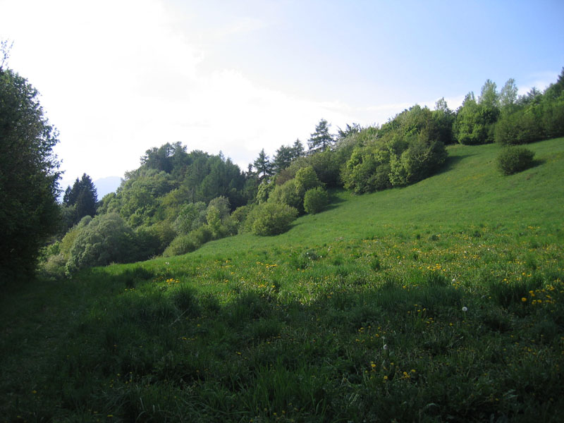 Castelli,Torri e Palazzi.....del Trentino