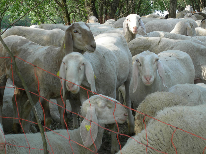 una giornata diversa dal solito....