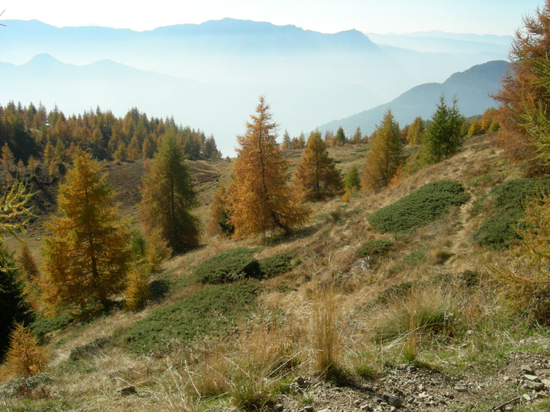 Sette Laghi....escursione del 12/10/2008