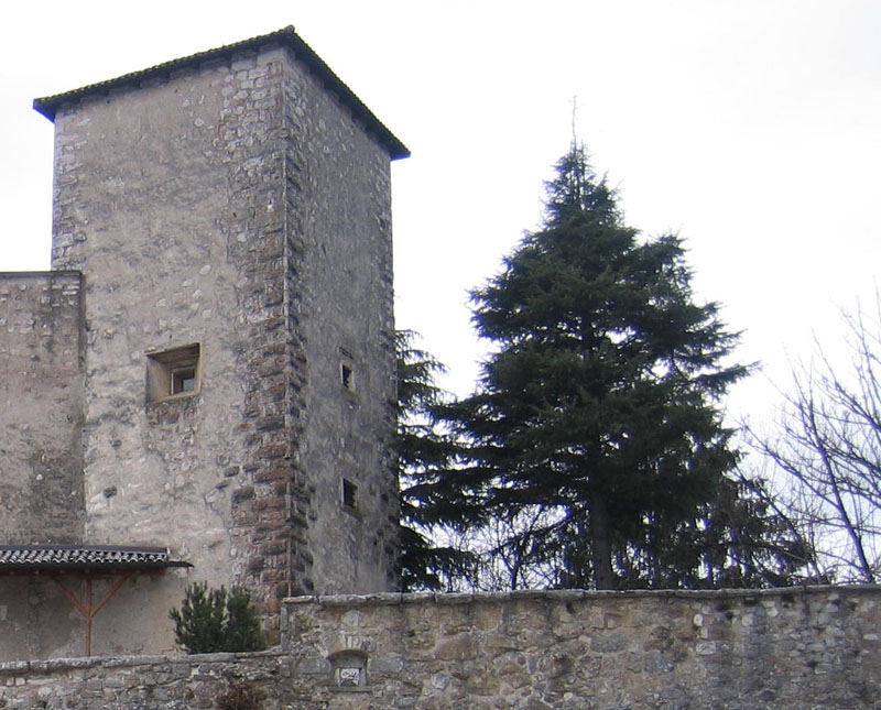 Castelli,Torri e Palazzi.....del Trentino