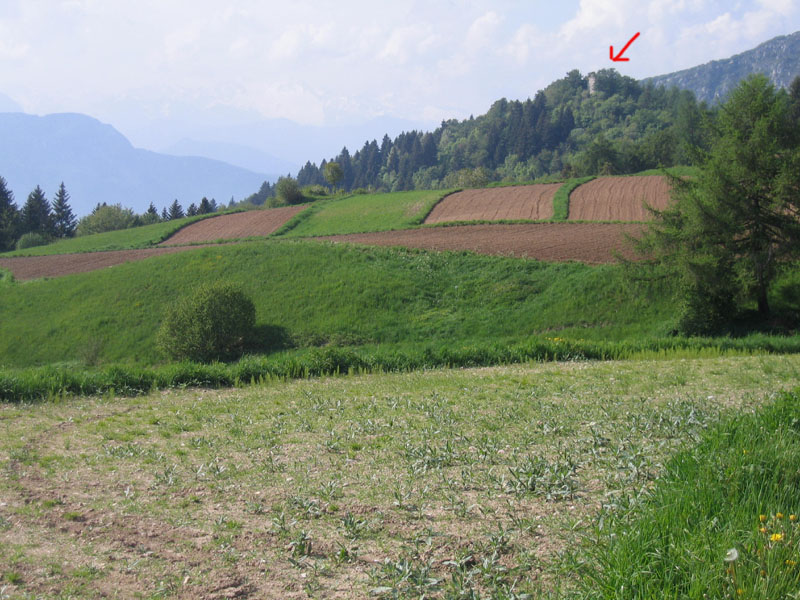 Castelli,Torri e Palazzi.....del Trentino