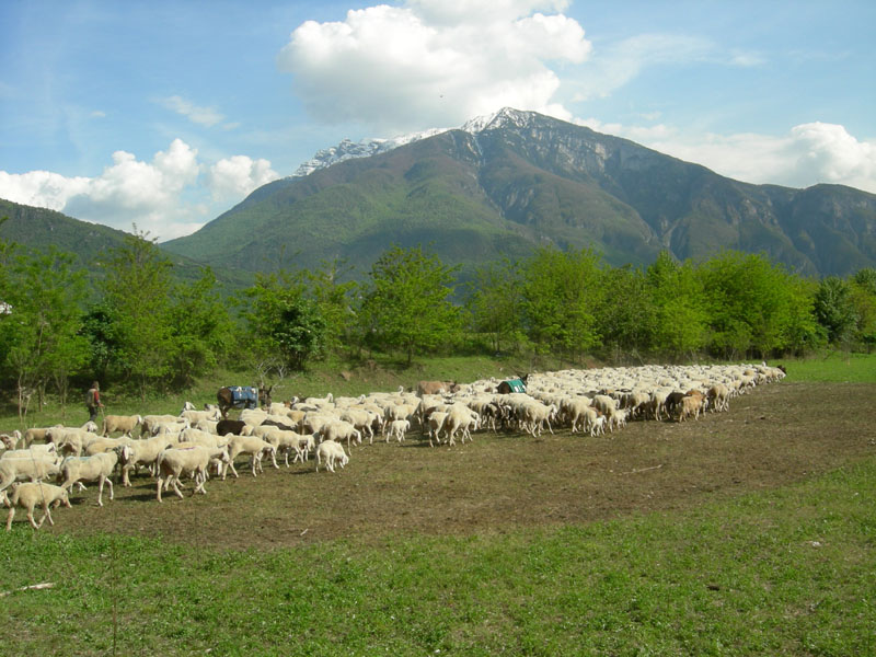 una giornata diversa dal solito....