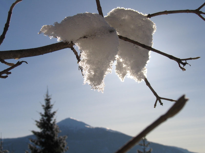 escursione sul Monte Brento....