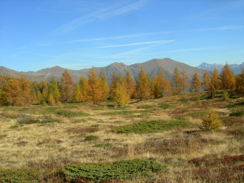 Sette Laghi....escursione del 12/10/2008